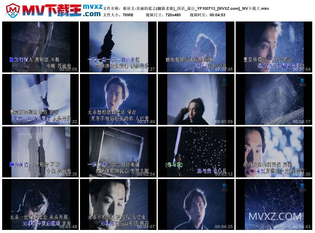 蔡济文-美丽的谎言(翻新老歌)_国语_流行_YF100713